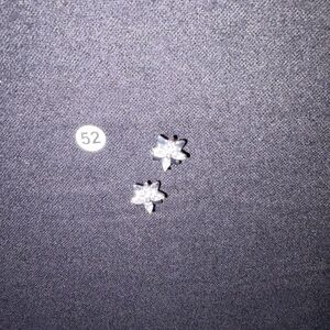 Elegant Silver Flower Earrings